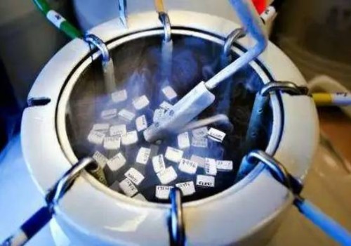 梅毒患者能否做试管婴儿，还得看这几点