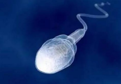 无锡试管助孕公司：婴幼儿用哪种洗发水最好？这三种类型的洗发水都很适合宝宝