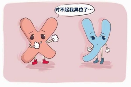 子宫内膜不均匀是为什么,会影响胚胎着床吗