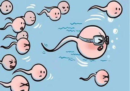 无锡正规助孕机构：宝宝越活跃，孕妇nt检查更容易通过哦