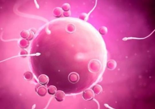 无锡试管婴儿价格：三个月没来月经了也没怀孕，别担心，调理身体最重要！